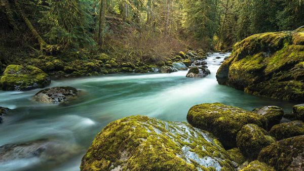 Tamihi Creek near Chilliwack, B.C.