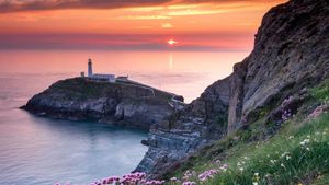 South Stack Lighthouse and coastal wildflowers at sunset, Anglesey (© Alan Novelli/Alamy Stock Photo)(Bing United Kingdom)