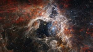 狼蛛星云中形成的年轻恒星，詹姆斯·韦布空间望远镜 (© NASA, ESA, CSA, STScI, Webb ERO Production Team)(Bing China)
