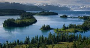 Alaska Stock Images/age fotostock &copy; (Bing Australia)
