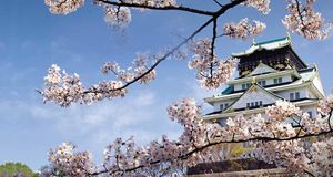 ｢大阪城｣大阪, 大阪市 -- Shuzo Kayamura /Photolibrary &copy; (Bing Japan)