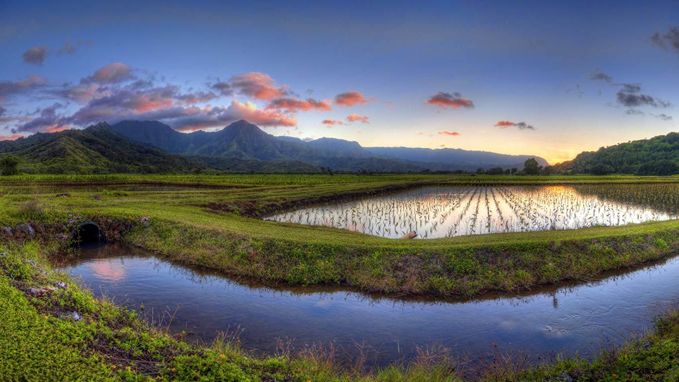Hanalei Valley, Kauai, Hawaii, USA