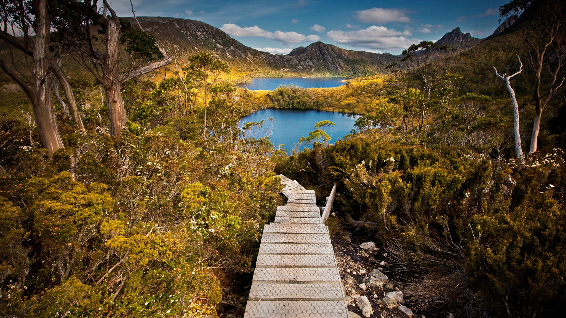 Le parc national de Cradle Mountain-Lake St Clair, Tasmanie, Australie