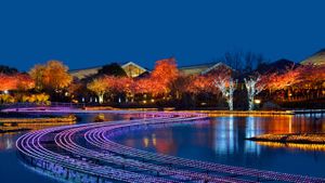 名花之里冬季彩灯展，日本桑名市 (© Julian Krakowiak/Alamy)(Bing China)