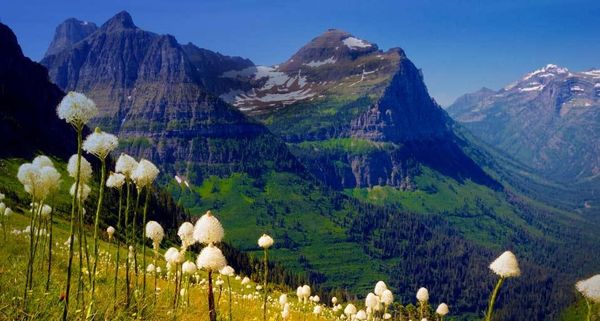 GlacierNatlPark