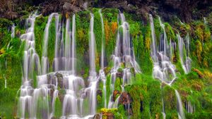 千泉州立公园的瀑布，美国爱达荷州 (© knowlesgallery/Getty Images)(Bing China)