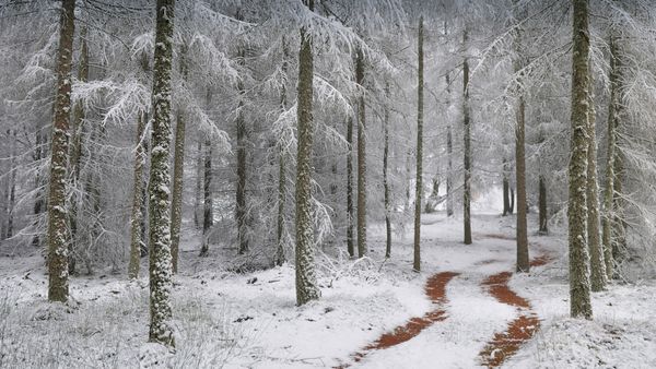 Northern Vosges Regional Nature Park, France