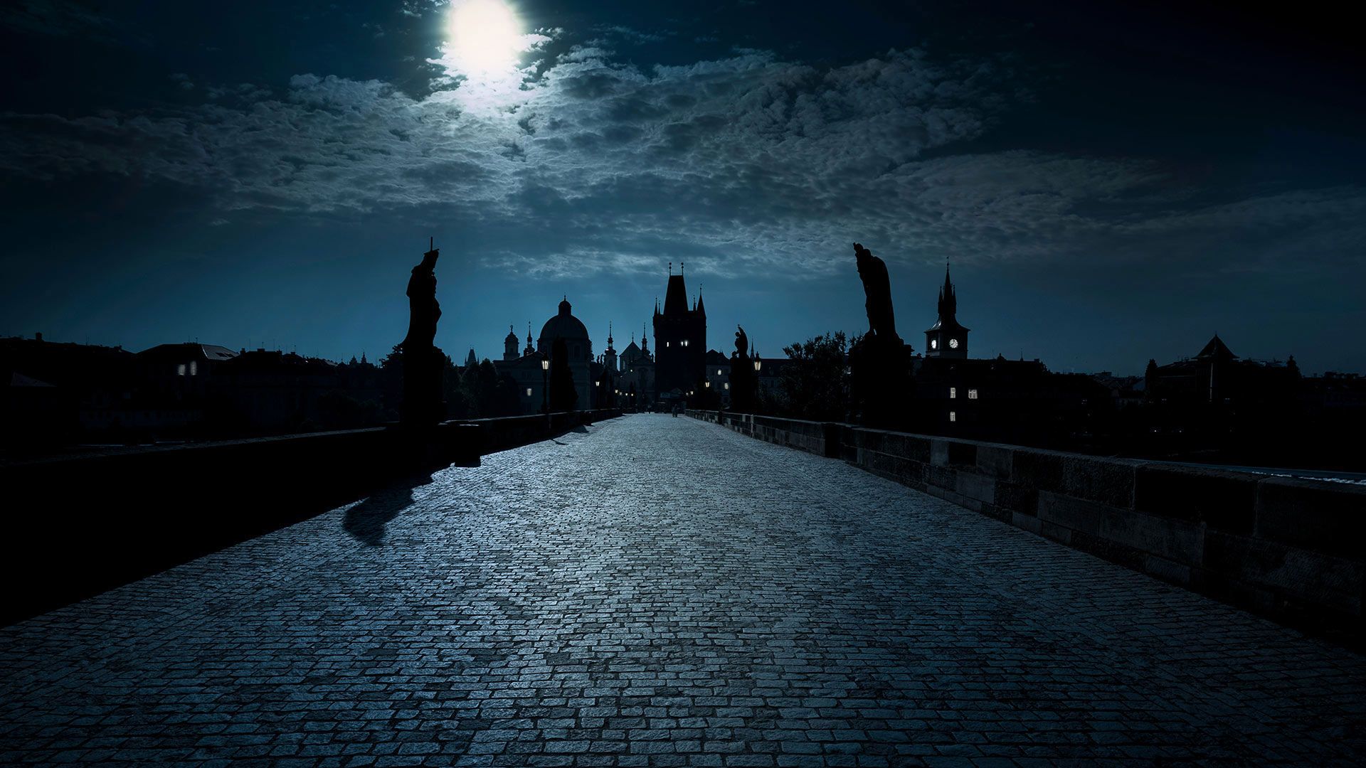 Charles Bridge over the Vltava River in Prague, Czech Republic