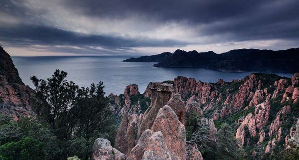 Piana