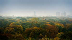 Herbstliche Farben in Berlin (© Sergio Saavedra Ruiz/Getty Images)(Bing Deutschland)