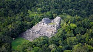 Cité maya antique de Caracol, Belize. (© Yann Arthus-Bertrand/Getty Images)(Bing France)