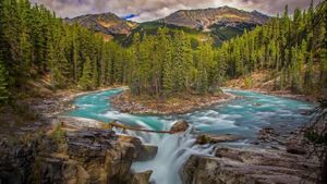 贾斯珀国家公园内的辛华达瀑布，加拿大艾伯塔省 (© Mana Arabi/Shutterstock)(Bing China)