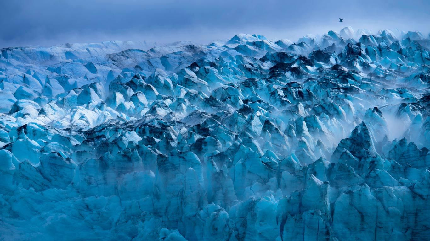 Lamplugh Glacier in Glacier Bay National Park and Preserve, Alaska
