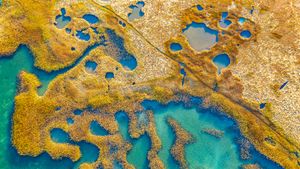 马萨诸塞州格洛斯特的沼泽地 (© Thomas H. Mitchell/Getty Images)(Bing China)