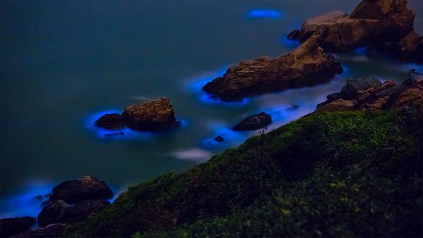 Bioluminescent algae along the shores of the Matsu Islands off the coast of Taiwan