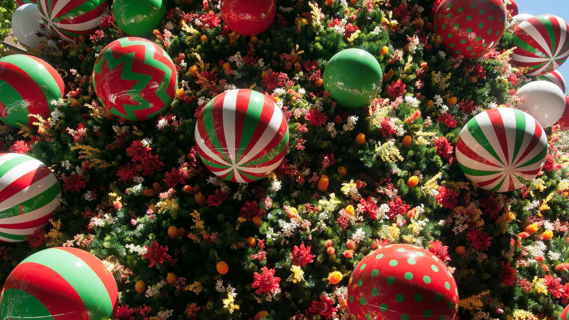 Close-up of Christmas tree decorations in Martin Place, Sydney, New South Wales