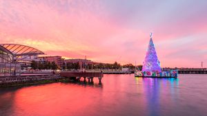 Sunset over The Carousel Pavilion with Christmas tree, Geelong (© TonyNg/Shutterstock)(Bing Australia)