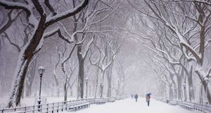 Snow covered trees and benches in Central Park, New York City -- Ellen Rooney/Getty Images &copy; (Bing United States)