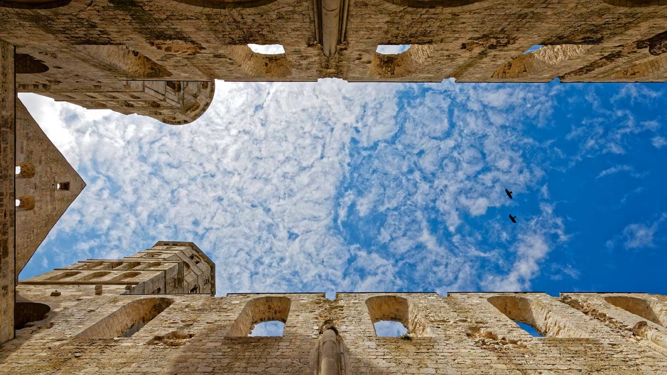 Deux oiseaux survolant l’abbaye de Jumièges, Seine-Maritime, Normandie