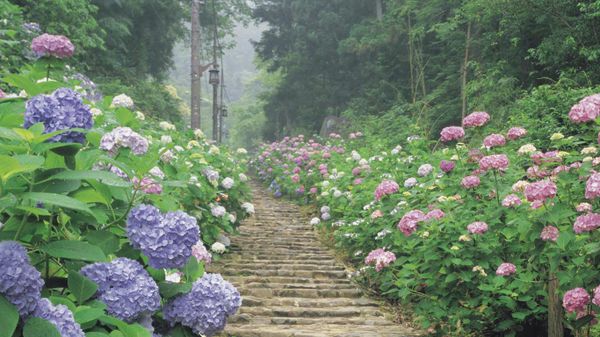 ｢太平山県立自然公園｣栃木, 栃木市