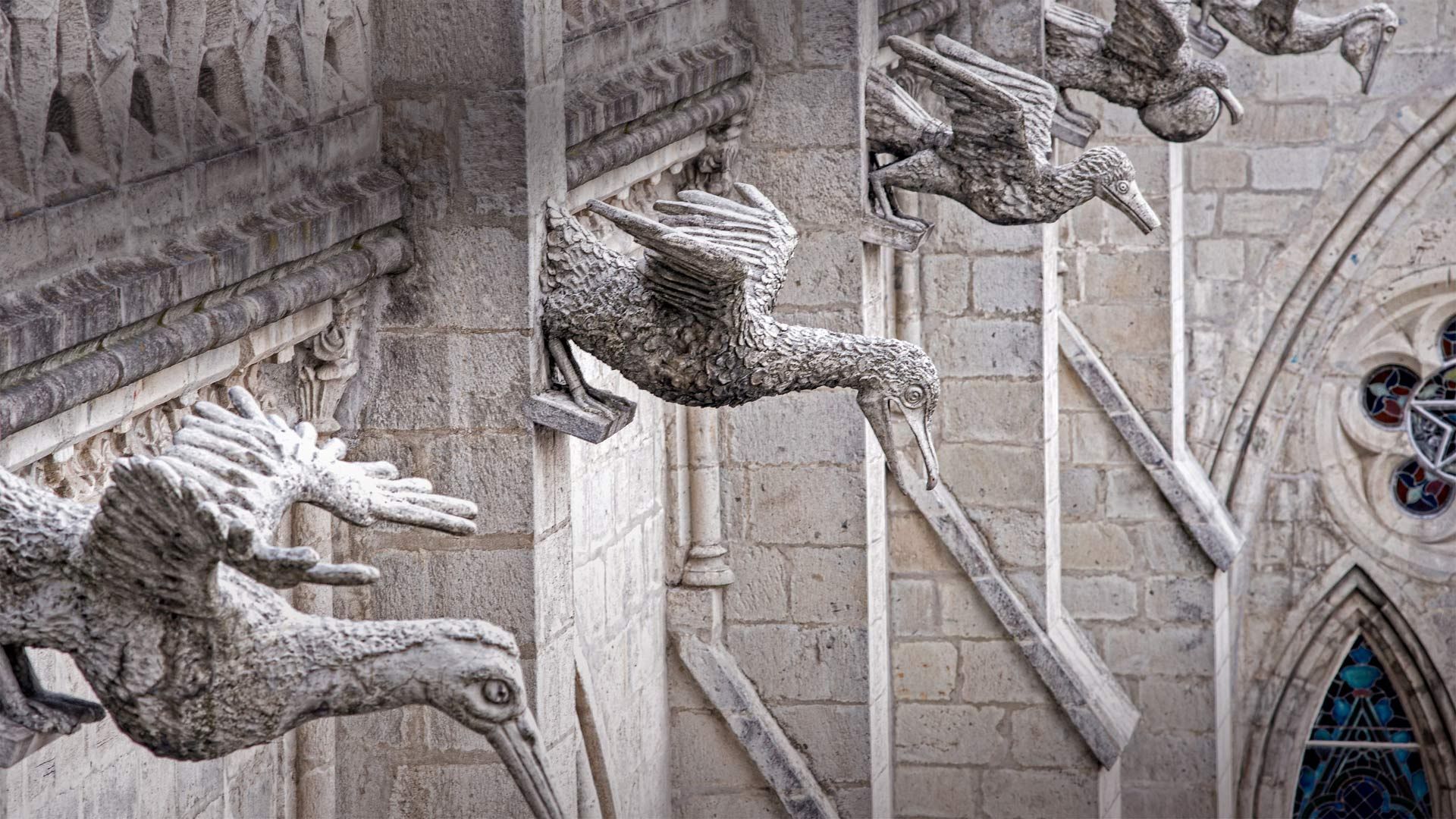 Grotesques of native Ecuadorian seabirds on the Basílica del Voto Nacional in Quito, Ecuador