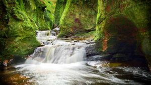 Finnich Glen in Stirlingshire, Scotland (© Damian Shields/Offset)(Bing New Zealand)