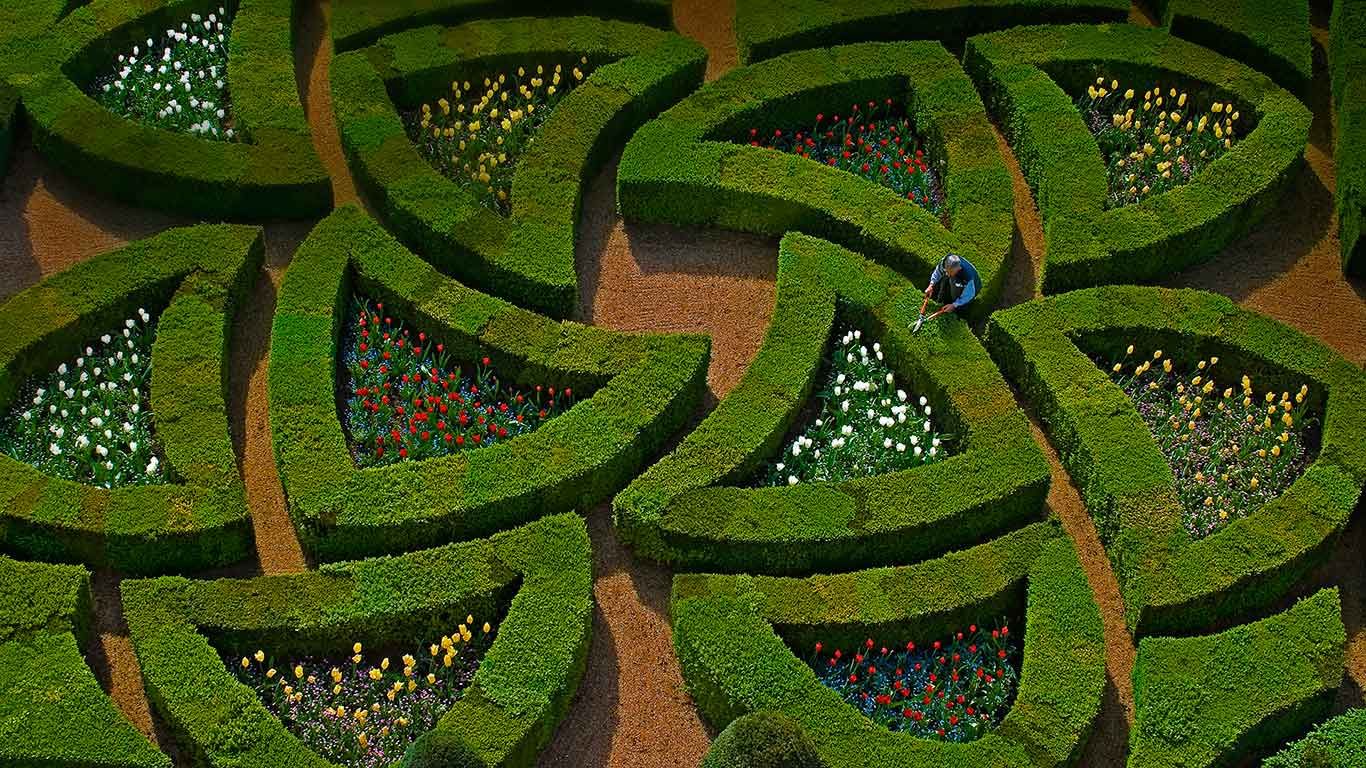 Gardens at Château de Villandry, Loire Valley, France