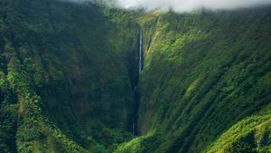 Cascadas de Olo'upena, isla de Molokai, Hawái, EE. UU. (© Andrew Aylett/Getty Images)(Bing España)