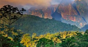 Atlantic rainforest and Organ Mountains in Serra dos Orgaos National Park, Brazil -- Frans Lanting/Corbis &copy; (Bing New Zealand)