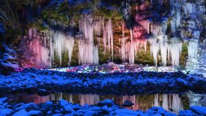 彩色灯光下的冰柱，日本秩父市 (© JTB Photo/UIG/age fotostock)(Bing China)