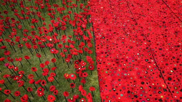 A field of knitted poppies at the RHS Chelsea Flower Show in 2016