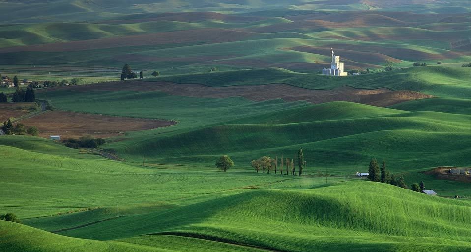 Palouse