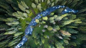 加勒廷国家森林里的小溪，美国蒙大拿州 (© Jared Lloyd/Getty Images)(Bing China)
