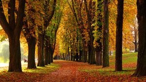 Kastanien-Allee im Herbst, Stuttgart, Deutschland (© Ursula Sander/Moment Open/Getty Images)(Bing Deutschland)