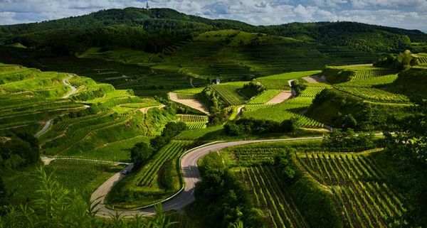 Vineyards and windy roads in the Kaiserstuhl region of Germany