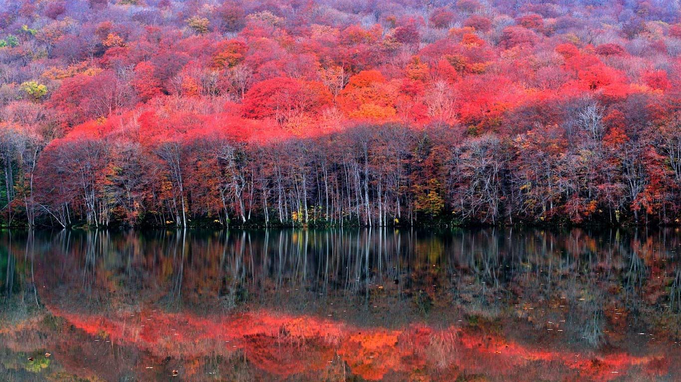 Late autumn in Aomori, Japan