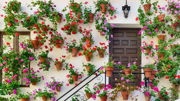 Fiesta de los patios cordobeses, Córdoba, Andalucía, España
