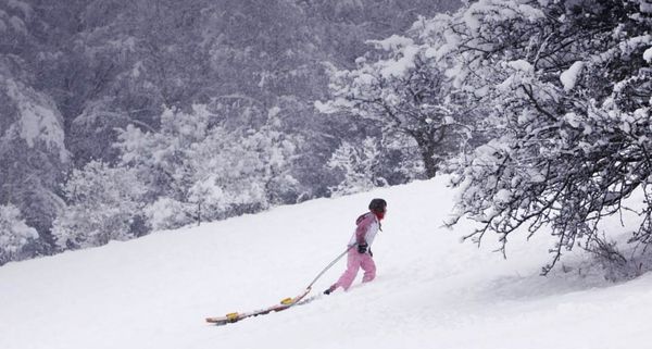 A sledger carries her sleigh up to the top of the slope on a snow-covered golf course in Henley-on-Thames, England