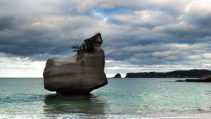 Eroding rock at Cathedral Cove on North Island, New Zealand (© crbellette/Shutterstock)(Bing New Zealand)