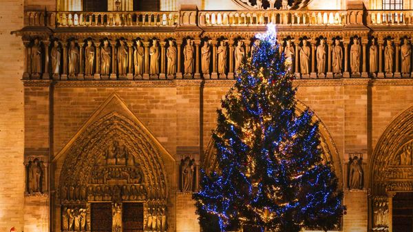 Cathédrale Notre-Dame de Paris et sapin de Noël, Paris