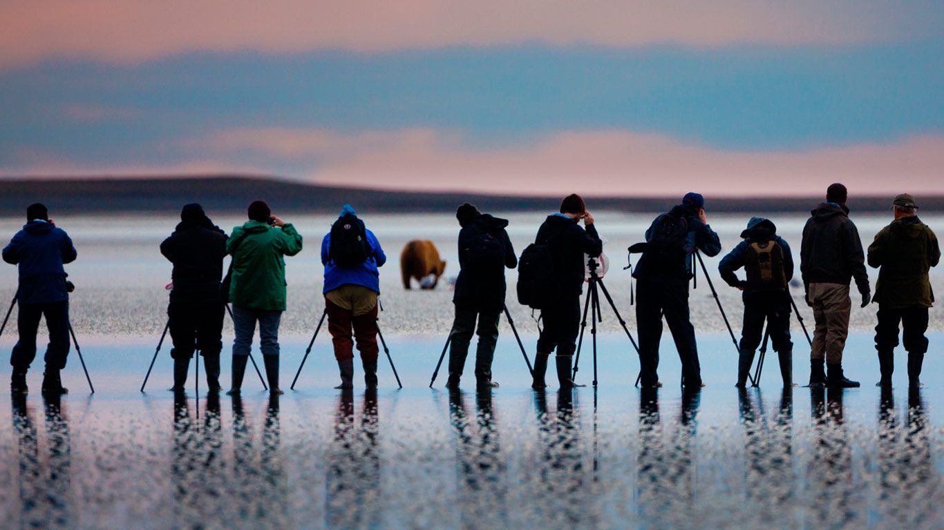 Photographers shooting pictures of brown bears in Lake Clark National Park and Preserve, Alaska