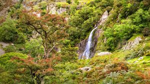 Aber Falls in Snowdonia National Park, Gwynedd (© ValeryEgorov/iStock/Getty Images Plus)(Bing United Kingdom)