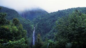 Chutes du Carbet dans le parc national de Guadeloupe (© Andreas M. Gross/Westend61/Corbis)(Bing France)