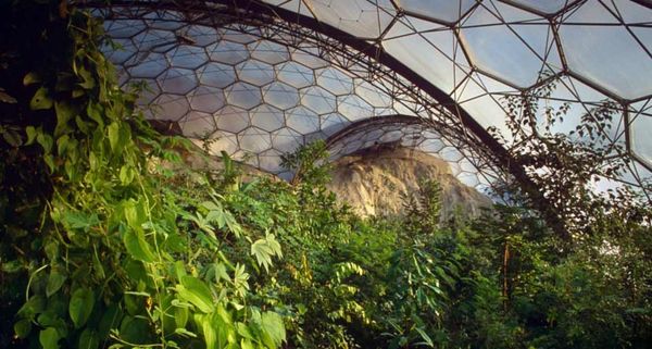 Sub-Tropical Biosphere Dome at the Eden Project, Cornwall, England