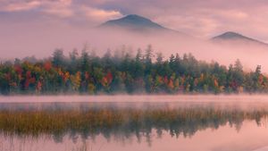 Connery Pond和怀特菲斯山，纽约州 (© Henk Meijer/Alamy)(Bing China)