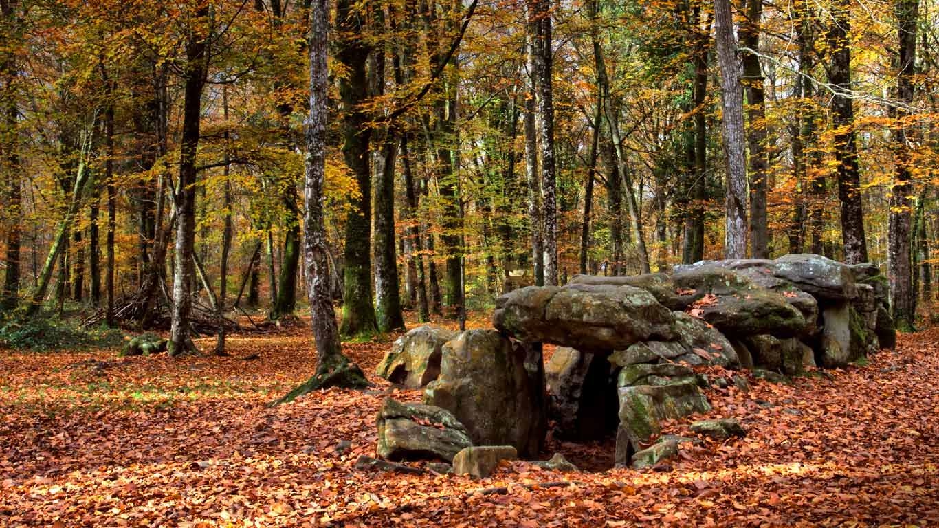 Dolmen “Maison des fées” dans la forêt du Mesnil, Ille-et-Vilaine, Bretagne