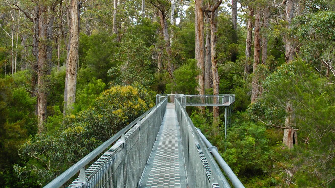 Valley of the Giants, Denmark, Western Australia