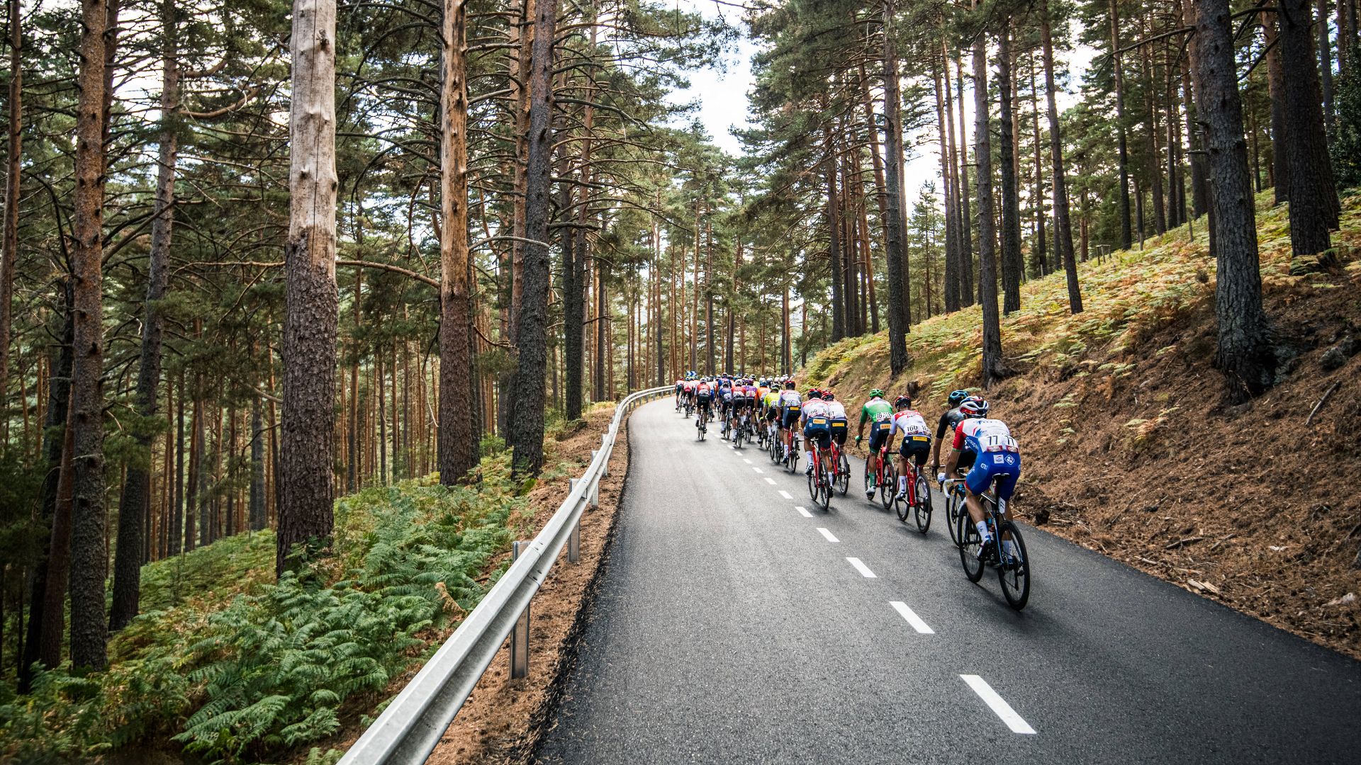 Vista general del pelotón durante la 77ª Vuelta a España 2022, Etapa 20, Navacerrada, España