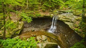 ｢ブルー・ヘン滝｣アメリカ, オハイオ州 (© Patrick Jennings/Shutterstock)(Bing Japan)
