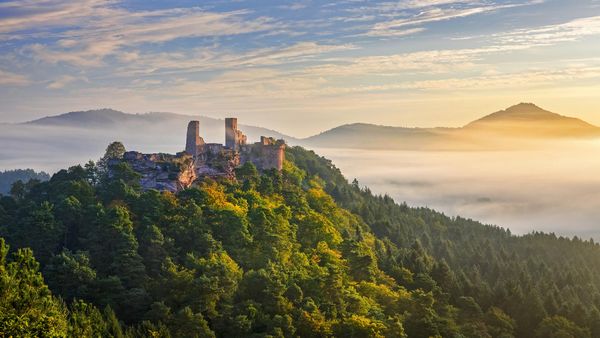 Altdahn Castle near Dahn, Dahner Felsenland (Dahn Rockland), Palatinate Forest, Rhineland-Palatinate, Germany